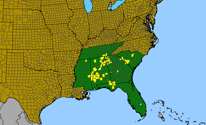The range of Trillium lancifolium